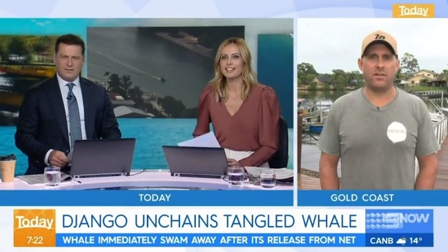 ‘Un-Australian’: Karl Stefanovic lashes out as whale hero faces $27k fine (The Today Show)