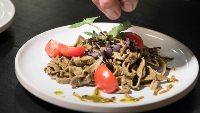 A dish of Basil Pesto Taglietelle, made with ground Black Soldier Fly larvae, and garnished with Mealworms, at Gourmet Grubb in Cape Town, South Africa. Picture: Rodger Bosch/AFP