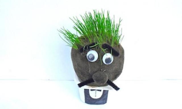 Grow a grass head
