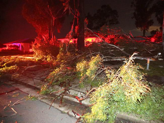 Trees blown down in Finisterre Ave, Whalan. Picture: Bob Barker