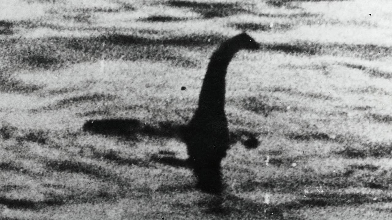 Loch Ness monster: Scientists make ‘surprising’ DNA discovery | news ...