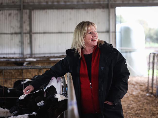 Victorian Agriculture Minister Gayle Tierney. Picture: Nicole Cleary