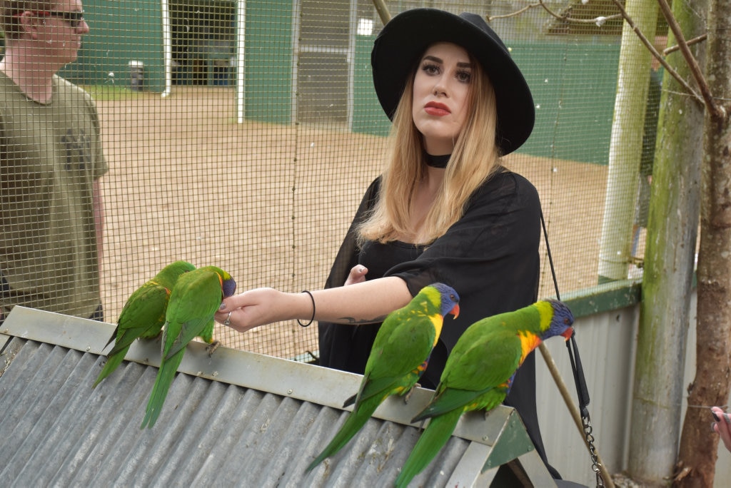 Getting up close with the birds at Maleny Botanic Gardens and Bird World. Picture: Mark Furler