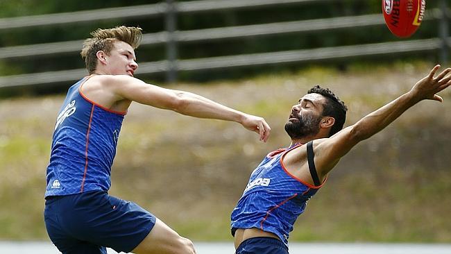North Melbourne Footy Training