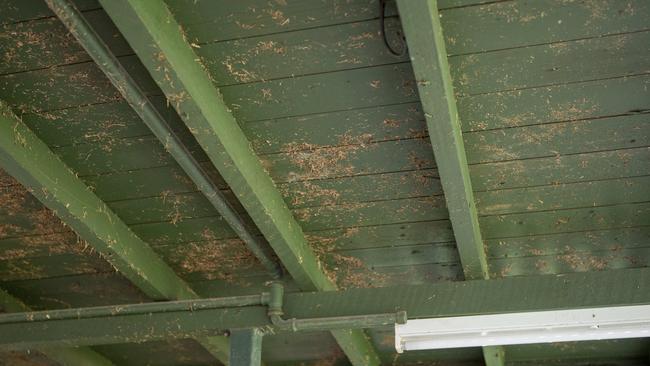 Dirt still remains underneath Ben Howlett’s Nicholas St property he was renting with his partner. Picture: Jerad Williams