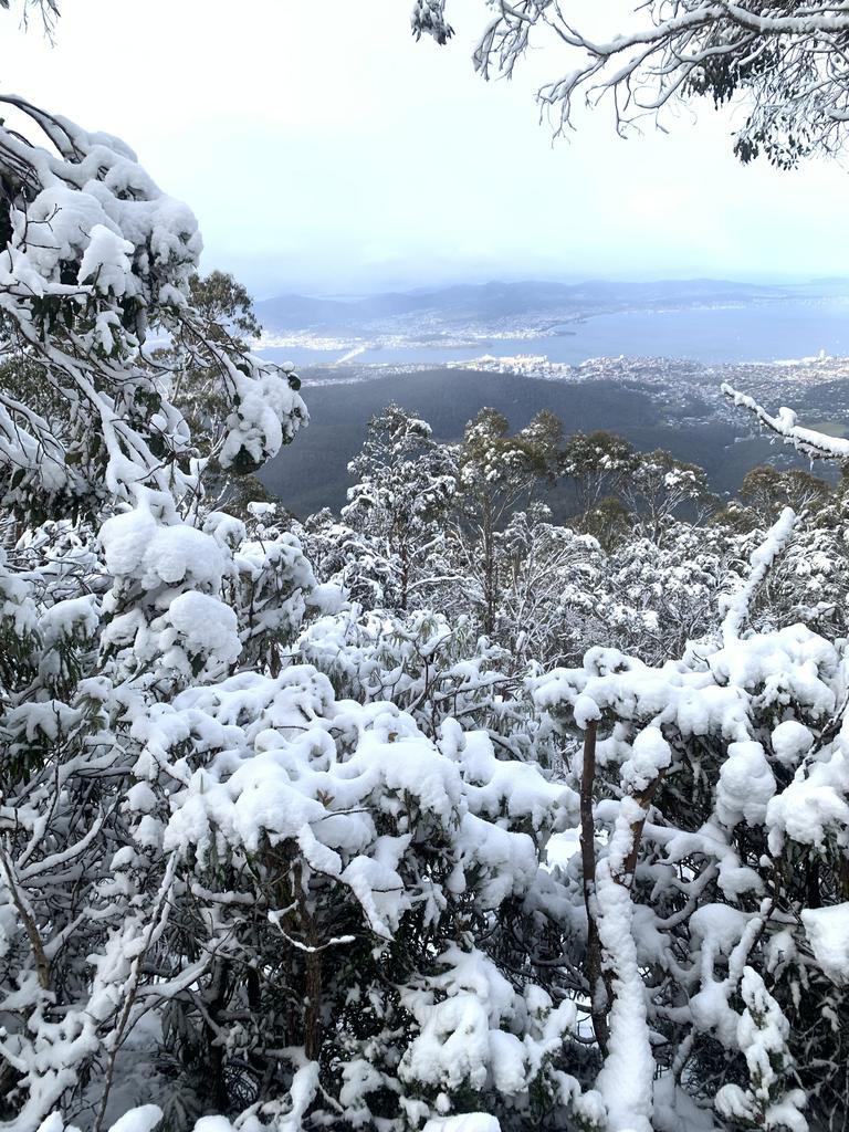 Snow on kunanyi/Mt Wellington on Tuesday June 7, 2022