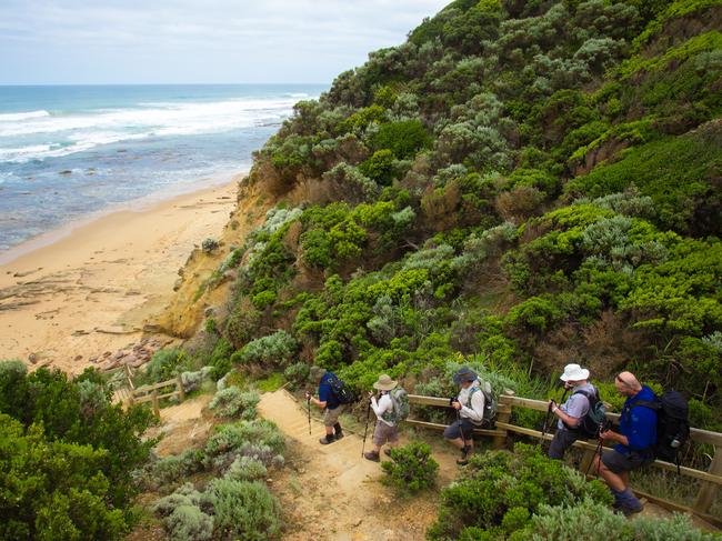 The bodies were found on an isolated track near Wreck Beach. Picture: Great Walks of Australia