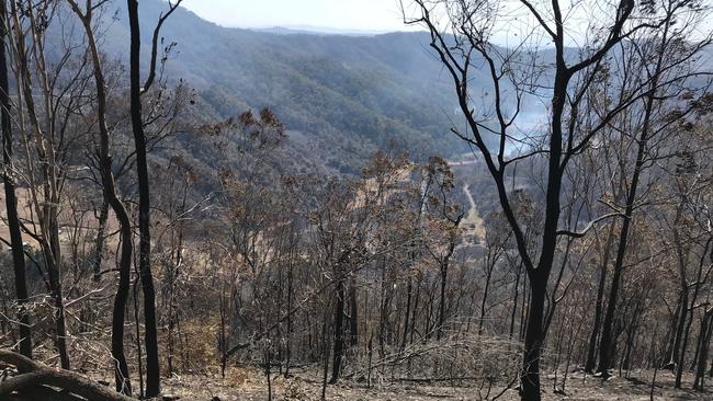 Total valley devastation at Sarabah on Monday, September 9, 2019 in the destructive south-east queensland bush fires. Picture: Kirstin Payne