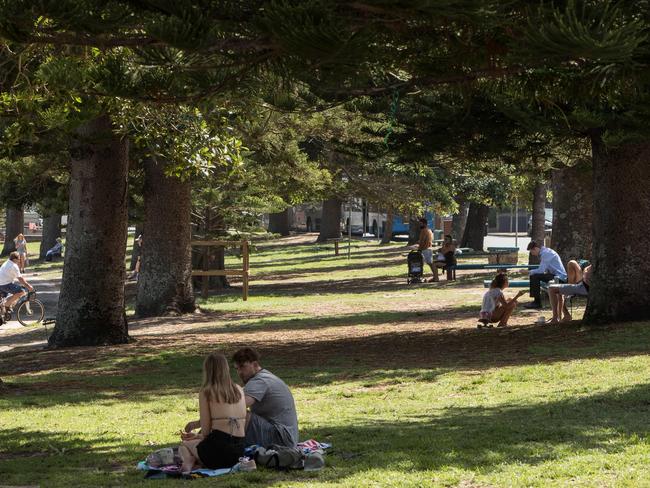 People enjoying “The Office” at East Esplanade reserve in Manly . Picture: Julian Andrews