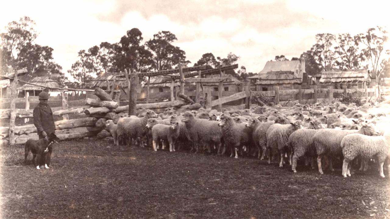 A late Nineteenth Century Victorian sheep station where shepherds would live and work, sometimes with their families. Picture: State Library of Victoria