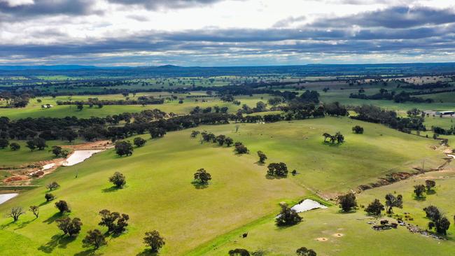 Glendhu Valley at Crowlands was once used as a lamb feedlot for 10 years for an export abattoir, fattening and processing 25,000 and 30,000 lambs per year.