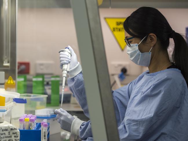 GOSFORD, AUSTRALIA - News Local Photos NOVEMBER 26, 2020. A lab scientist prepares COVID-19 test samples for the new BD MAX test machine at the NSW Health Pathology Gosford lab. Gosford Hospital is now carrying out COVID-19 diagnostic testing so Central Coast residents get their COVID-19 results a lot quicker. Picture: News Local / Troy Snook