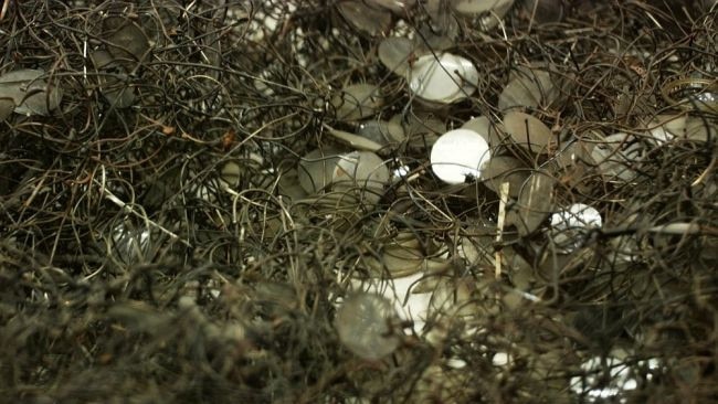 Glasses belonging to people taken to Auschwitz for extermination are on display at the Auschwitz-Birkenau memorial and museum – a former German Nazi concentration and extermination camp in Poland. Picture: Pawel Sawicki/auschwitz.org photo gallery