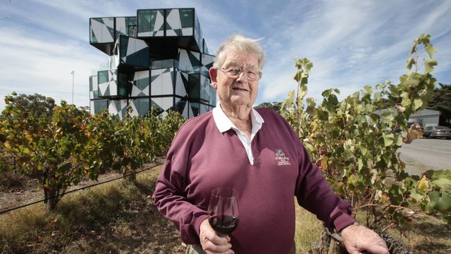 d'Arry Osborn in front of the d’Arenberg Cube in 2017. Picture: Tait Schmaal