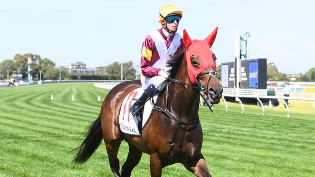 Evaporate (NZ) ridden by Michael Dee prior to the Lamaro's Hotel Futurity Stakes at Caulfield Racecourse on February 22, 2025 in Caulfield, Australia. (Photo by Brett Holburt/Racing Photos via Getty Images)