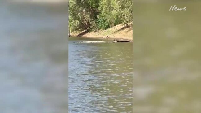 Giant croc filmed at Kennedy River