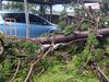 Warwick businesses, residents face aftermath of wild weather