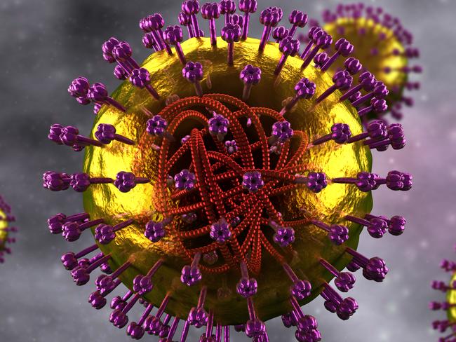 Measles Cell - Microbiology detailed view