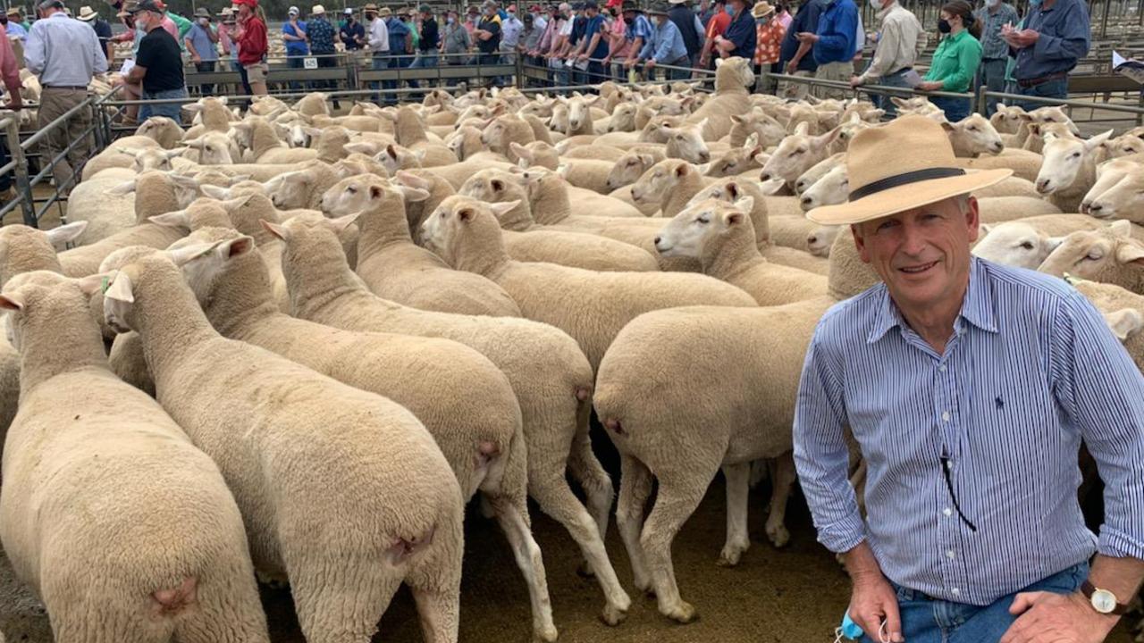 Price highs: Shepparton producer Rob Sands bought the top pen of first cross ewes at Bendigo November 4 2020, paying an impressive $446 a head. Picture: Jenny Kelly