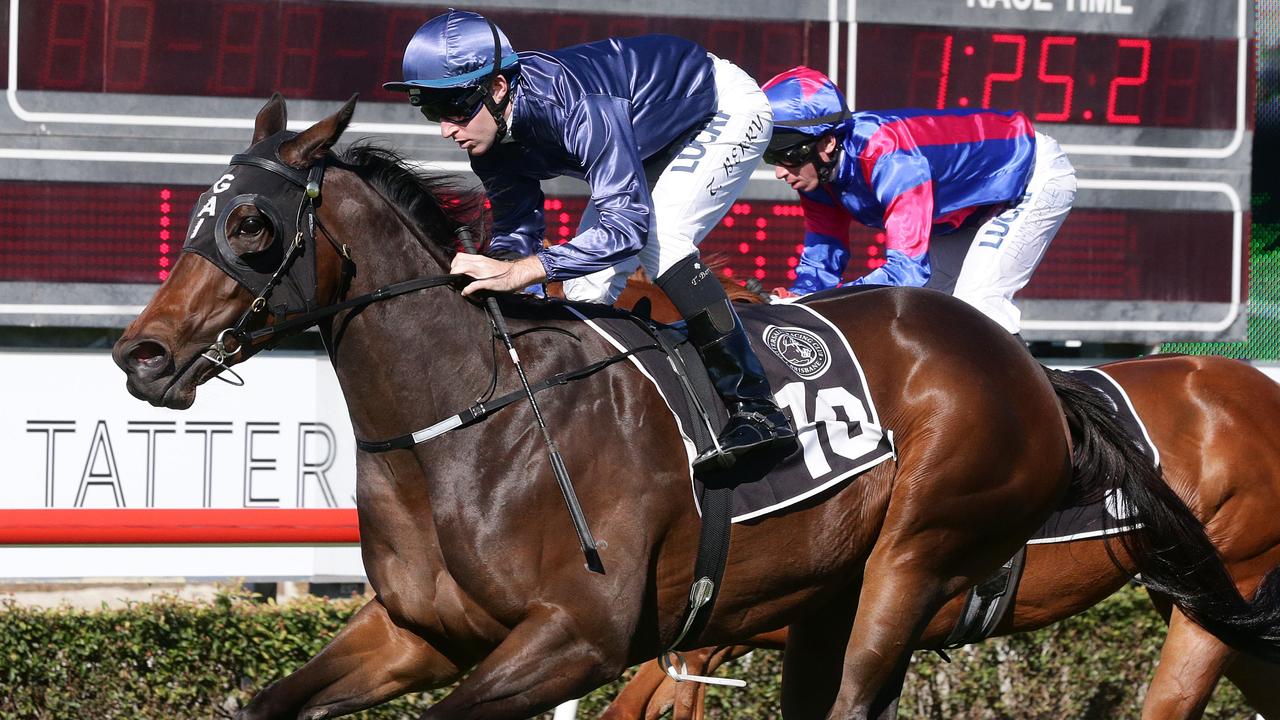 Randwick barrier trials: Harlem River continues Brisbane momentum | Daily  Telegraph