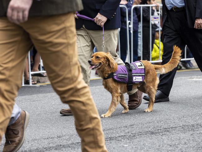 A large turnout came to watch the ANZAC Day parade through Brisbane city. Picture: NCA NewsWire/Matthew Poon