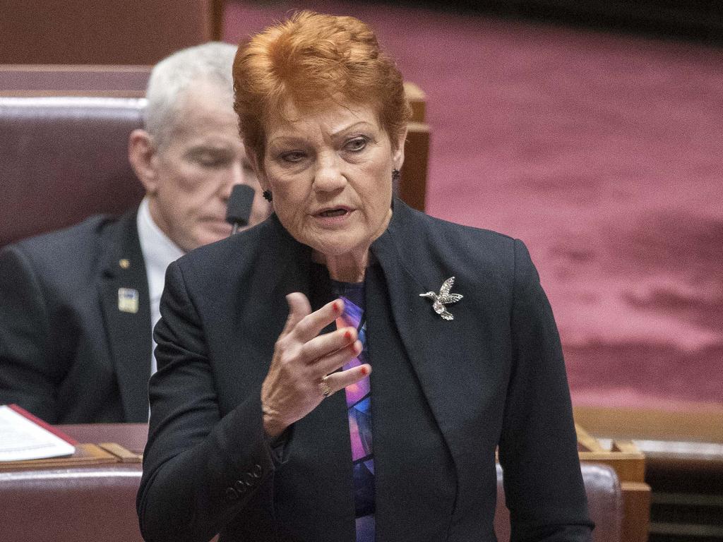 Senator Pauline Hanson took a swipe at the Greens Senator over her comments about the Queen. Picture: NCA NewsWire/Gary Ramage
