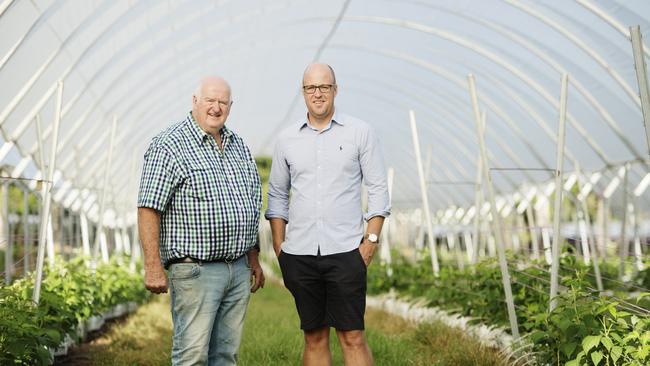 Ridley Bell, founder of Mountain Blue, pictured with his son and managing director Andrew Bell at the family run blueberry operation in Lindendale, near Lismore. Picture: Elise Derwin