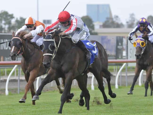 Donot Say Anything wins the Snippets Memorial Maiden Plate (1400m) at the Gold Coast on January 21, 2017. Photo: Jessica Hawkins/Trackside Photography