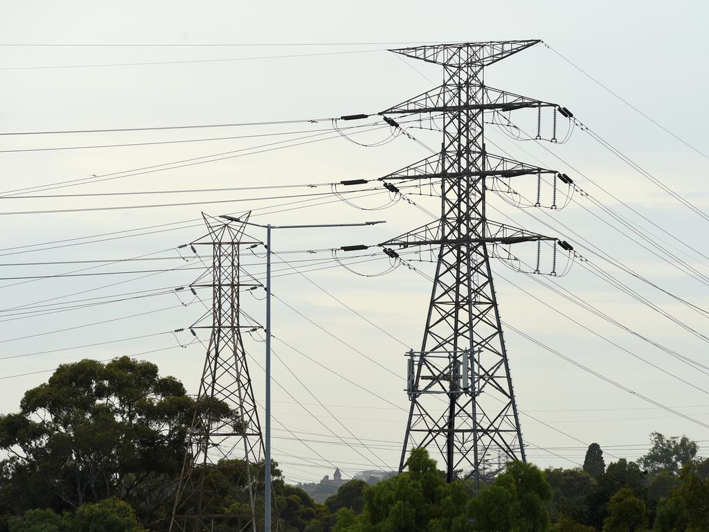 Victorians could be without power for days as powerlines have been brought down. Picture: NCA NewsWire / Andrew Henshaw