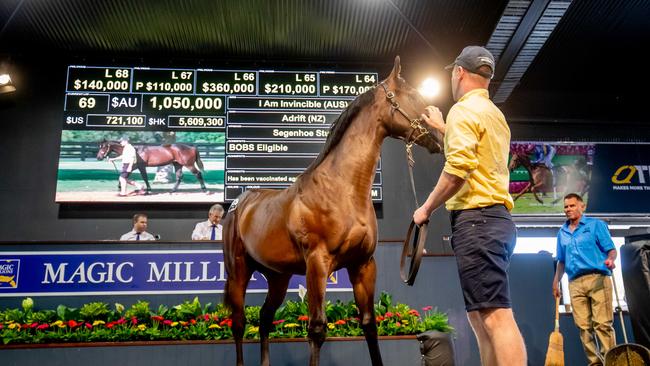 Lot 69 sold for $1.05M to Guy Mulcaster at the Magic Millions horse sales. Picture by Luke Marsden.