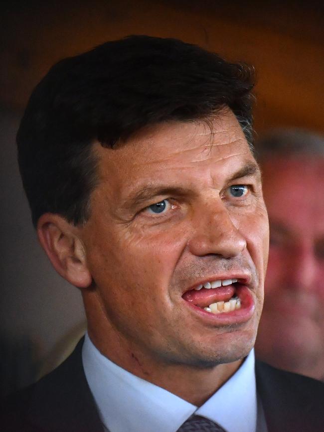 Minister for Energy Angus Taylor at a press conference in Tasmania on April 17. Picture: AAP/Mick Tsikas