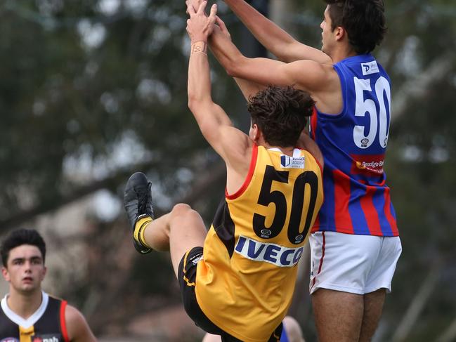 Lachlan Williams flies backwards for the Dandenong Stingrays. Picture: Stuart Milligan