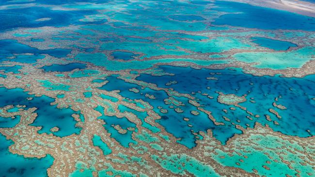 A man has been flown to Townsville following an incident on the Great Barrier Reef near the Whitsundays.