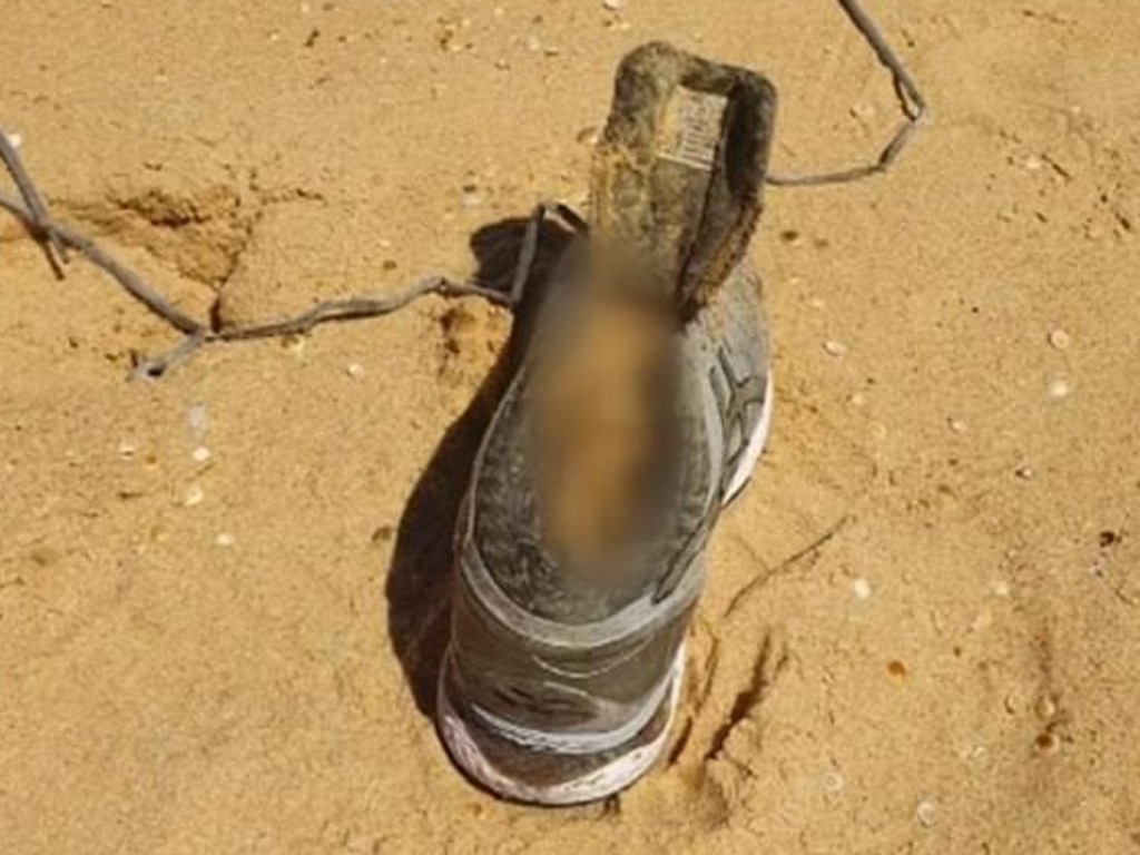 Her decomposed foot was discovered on Bournda Beach more than three months later. Picture: 7 News