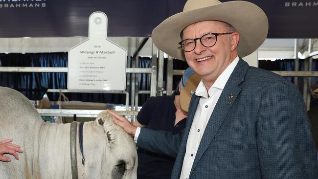 Premier Steven Miles and Prime Minister Anthony Albanese at Beef Week in Rockhampton.Pic Annette Dew