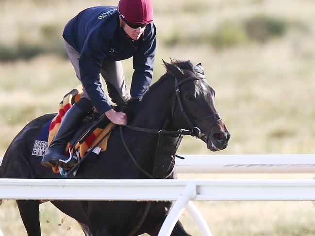 The Cliffsofmoher during a Werribee trackwork session on Sunday. Picture: Getty Images