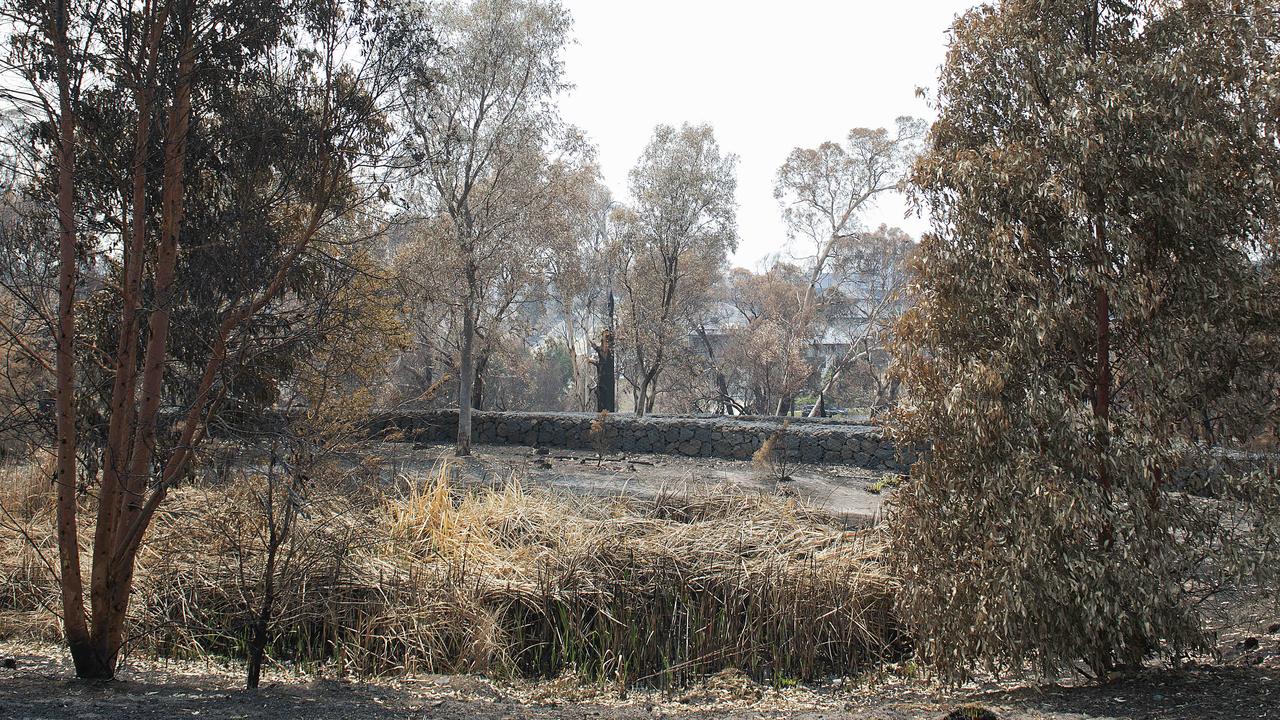 Burnt bushland at the Plenty Gorge parklands near Edgecliff Court in Bundoora. Picture: Ellen Smith