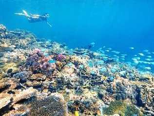 HOT SPOT: Heron Island, one of the many treasures within the Southern Great Barrier Reef. . Picture: James Vodicka