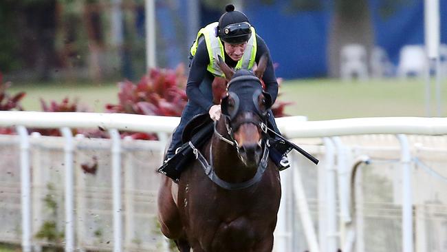 Sacred Star will skip the Stradbroke and run in the QTC Cup. Picture: Liam Kidston