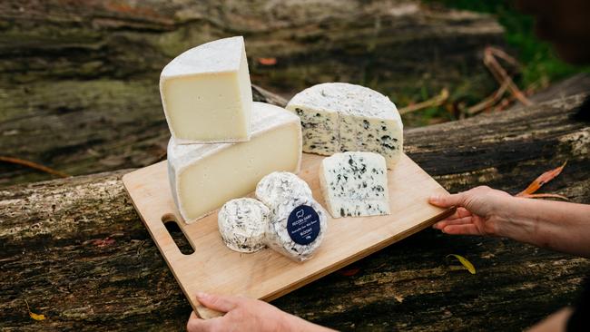 Pecora Dairy cheese. Picture: Wesley Lonergan