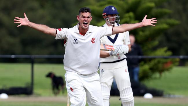 Clint McKay appeals for a wicket.