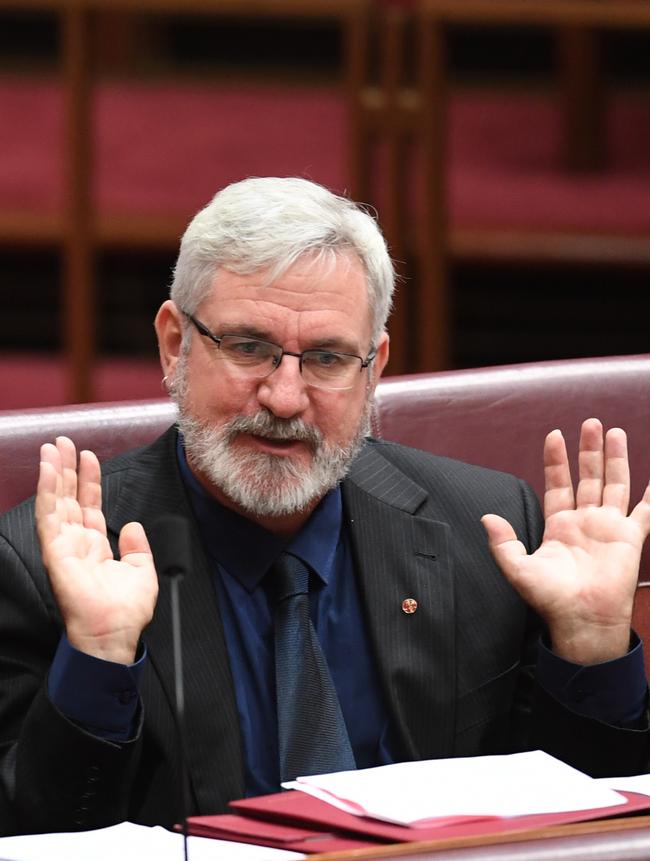 Queensland Greens senator Andrew Bartlett described the family’s removal as horrific, cruel and pointless. Picture: AAP/Lukas Coch