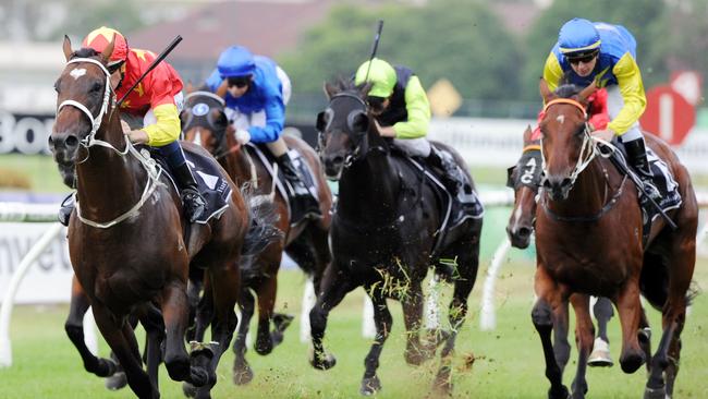 Press Statement, left, will be hard to beat in the All Aged Stakes. Picture: Simon Bullard