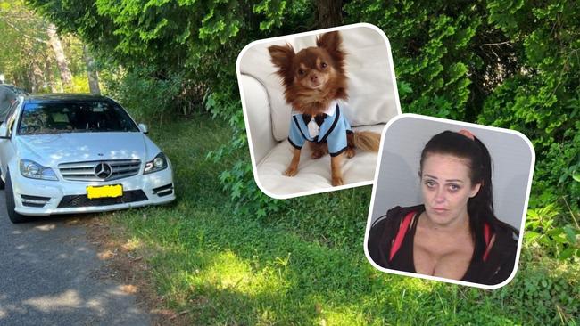 Marni Scowen, 36, (inset) has pleaded guilty to leading police on a pursuit in her Mercedes (pictured) with a chihuahua dog dressed in a blue tuxedo in the back seat (similar to this one pictured/inset). Picture: Supplied