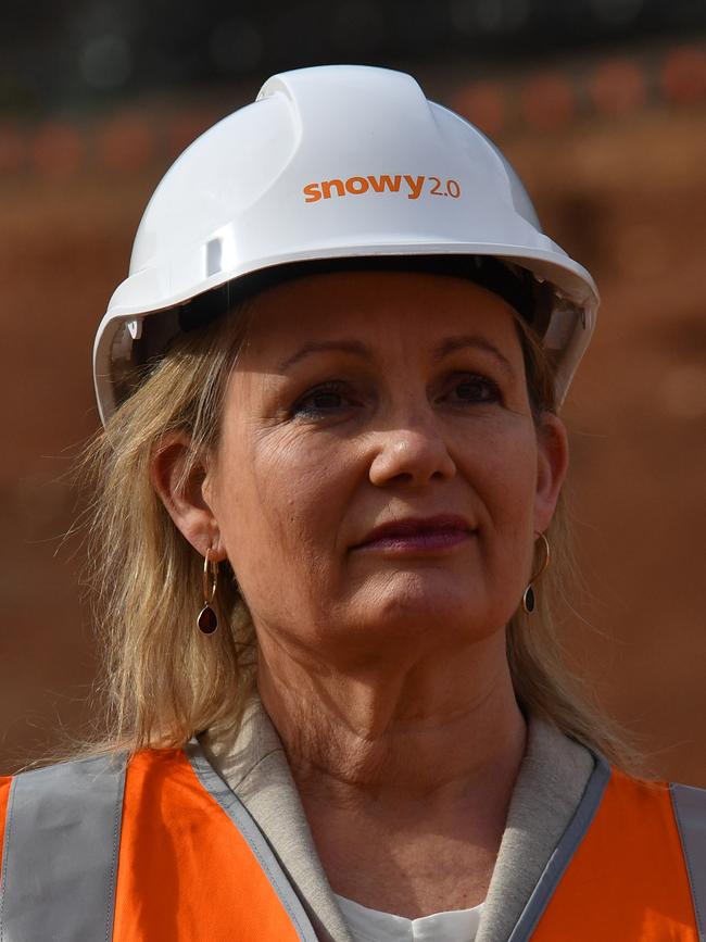 Minister for the Environment Sussan Ley. Picture: AAP