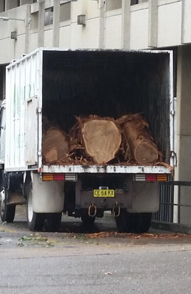 A truck takes away a massive tree trunk in Epping during construction of new town-centre development.