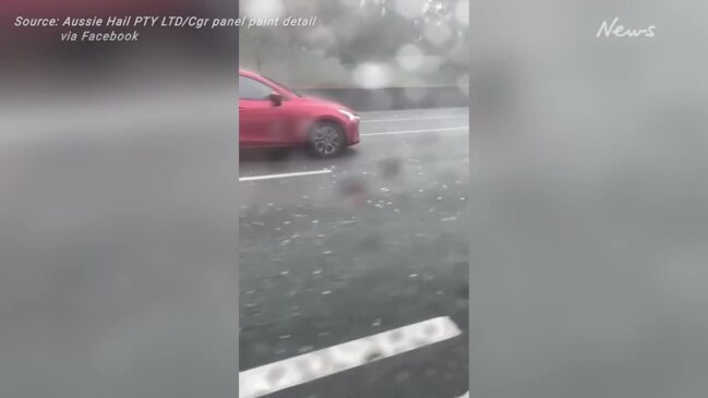 Large hailstones at Mount Gravatt