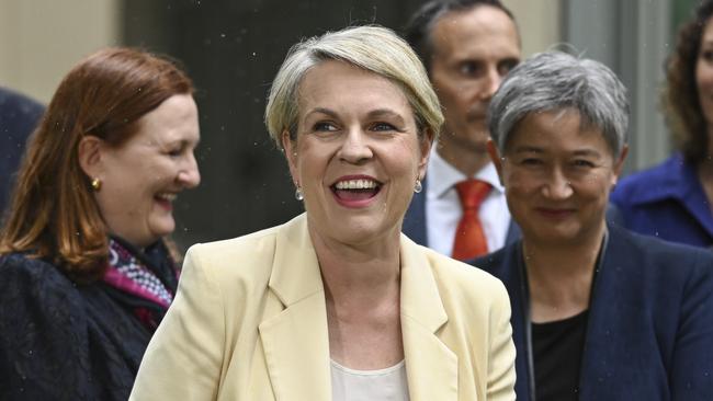 Environment Minister Tanya Plibersek. Picture: Martin Ollman / NewsWire