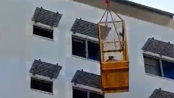 Cat-astrophe averted: Crane called in for pussy rescue | VIDEO