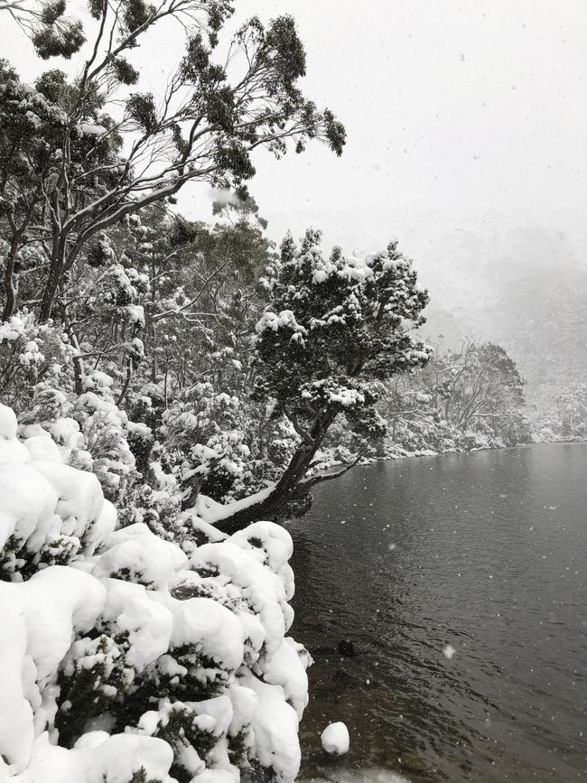 Snow at Lake Dobson at Mt Field. Picture: NIKKI DAVIS-JONES